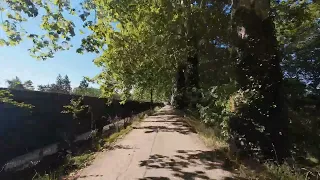        دندنها