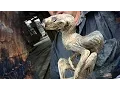 10 Asian Cryptids Explained