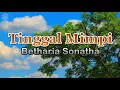 Tinggal Mimpi - Betharia Sonatha (lirik Lagu) | Lagu Indonesia  ~ masihkah bila kau tertidur