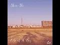 Echo of A Day