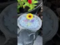 Part 2 TEMU Garden Finds