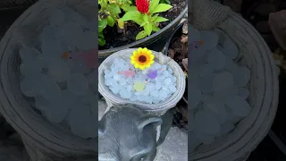 Part 2 TEMU Garden Finds