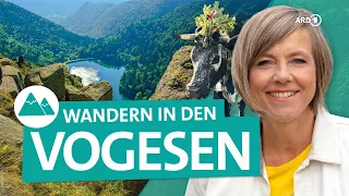 Vogesen im Elsass: Wandern zu märchenhaften Burgen und traumhaften Ausblicken | 4K | ARD Reisen