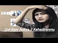 Download Lagu Cut Rani Auliza // Kehadiranmu (offline live musik)