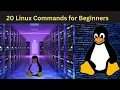 20 Most Important Linux Commands for Beginners Linux Basic Commands