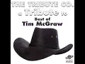 My Next 30 Years - The Tribute Co., The Hit Co.