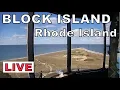 Live - SEALS from North Lighthouse Block Island RI USA