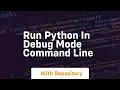 run python in debug mode command line