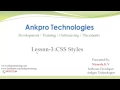 CSS Lesson 3 - CSS Styles