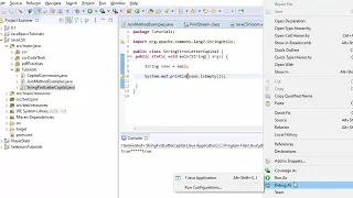 IsEmpty vs isBlank in Java StringUtils package in Java Exploring Apache Commons Lang3