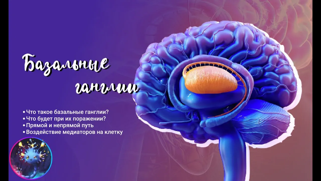 Базальные ганглии