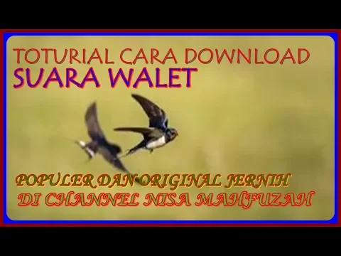 Download MP3 CARA DOWNLOAD SUARA WALET POPULER DAN ORIGINAL JERNIH DI CHANNEL NISA MAHFUZAH