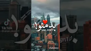 قلبي حبيب قلبي بدمنو 