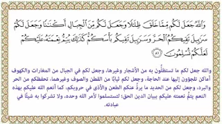 التفسير الميسر الآية 81 من سورة النحل 016 