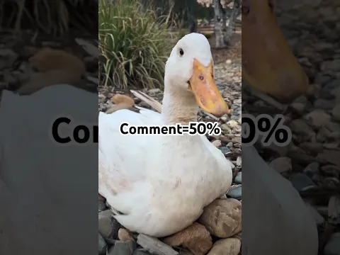 How much?