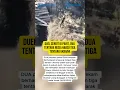 Download Lagu DUEL SENGIT DI PARIT, DUA TENTARA RUSIA HABISI TIGA TENTARA UKRAINA