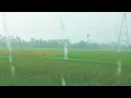 Download Lagu Suara hujan di sawah dekat kebun untuk relaksasi dan tidur nyenyak