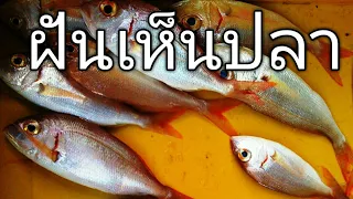 ฝันเห็นปลา  ทำนายฝัน
