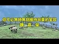 你不必無時無刻維持完美的笑容　魏嘉瑩