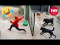 Download Lagu Funny \u0026 Hilarious People Life 😆 #496 | TRY NOT TO LAUGH CHALLENGE 😂 | Funny Videos Compilation 2025