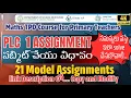 PLC 1 Assignment submission process 21 Model Assignments how to solve errors Baigsacademy16