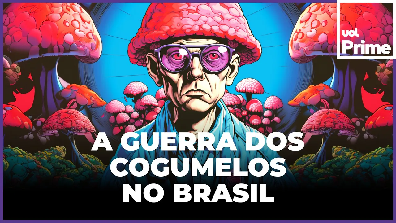 Cogumelos mágicos: consumo em alta no Brasil cria guerra entre vendedores, com ameaças e prisões