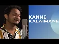 Download Lagu Kanne Kalaimane | Siyad K | Coffee Sessions | Ilayaraja