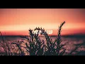 Download Lagu Dj Pappa Live @ Astra Mykonos (Summer 2021)
