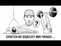 Stretch vs Squeeze Study Shocks Fitness World