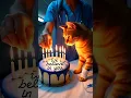 Download Lagu Cerita Sedih Seorang Dokter Menyalakan Lilin untuk Seekor Kucing Kecil yang sakit dan Berani 🎂💔
