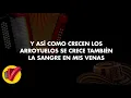 La Creciente, Binomio de Oro, Vídeo Letra - Sentir Vallenato