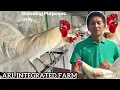 Download Lagu Arl White Hatch Gilmore Raptor Sweater - Mr. Arturo Lopez ARL FARM
