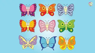 الطائر المبكر المستوى الثاني اغنيه حرف الفاء فراشه 