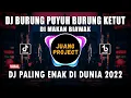 Download Lagu DJ BURUNG PUYUH DI MAKAN BIAWAK TIKTOK REMIX VIRAL 2022
