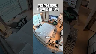 제주도에 새로 생겼다는 끝판왕 호텔?!✨