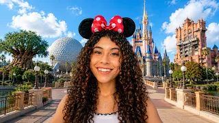 Going to 4 Disney Parks in 4 Hours