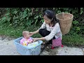 Download Lagu Een arm meisje vond per ongeluk een verlaten baby - Wat was de bedoeling van de moeder van het