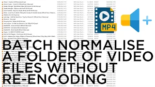 Batch Normalise A Folder Of Files Without Re-encoding