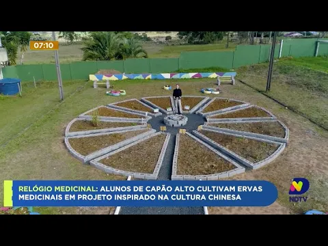 Escola de SC desenvolve projeto voltado ao cultivo de ervas medicinais inspirados na cultura chinesa