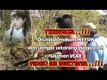 Download Lagu GEMPAR ..‼️TERNYATA MAKAM MEI SHIN ADA DISINI || Viral di Jawa Timur
