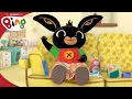 Download Lagu Atchoo! | Bing Full Episodes | Bing English