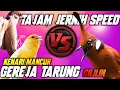 Download Lagu FULL TAJAM‼️GEREJA TARUNG KENARI SAMBUNG CILILIN PANJANG || MASTERAN MURAI CAKIJO CENDET