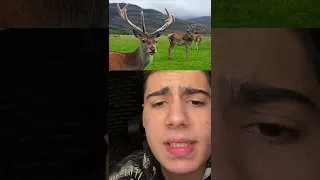 ليش الشباب يرتدون التنورة  ليش الشباب يرتدون التنورة