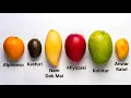 Every Premium Mango Explained