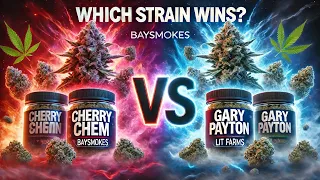 CHERRY CHEM vs GARY PAYTON Baysmokes vs Lit Farms Which Strain Reigns Supreme