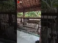Download Lagu Makam Pendiri Pondok Pesantren Langitan Tuban - Kyai Muhammad Nur -