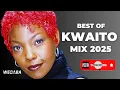 Best Of Kwaito Mix 2025 | Dj Webaba