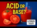 Is Tomato Juice ACIDIC or BASIC Experiment with homemade Litmus Paper II Studycoach