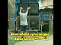 Download Lagu Story WA lemah teles - loss joget ora duwe utang