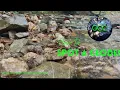 Download Lagu Hoe je een GEODE kunt spotten! | Stenen verzamelen voor beginners!